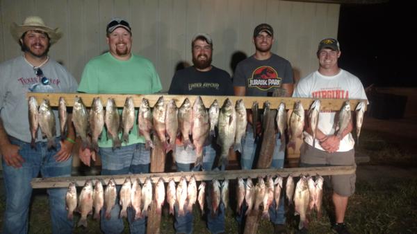 200 White Bass Saturday Night!