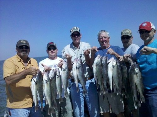 Walleyes Are Biting