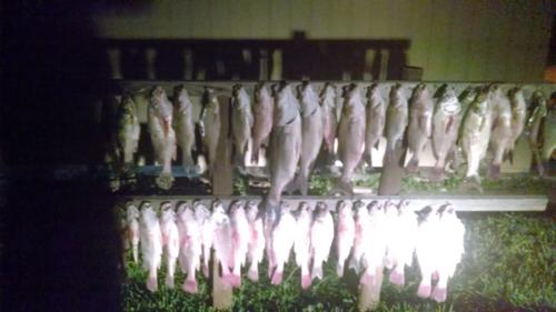 Catching Fish in Kansas
