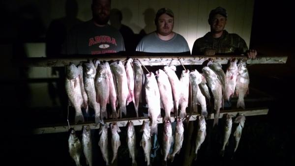 Fishing Report June 12, 2015