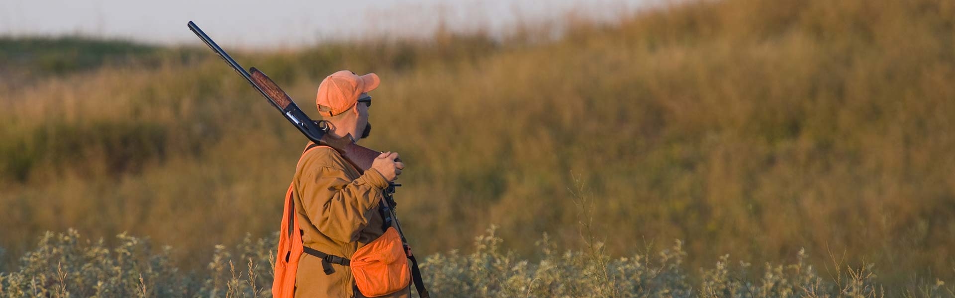Kansas Quail Hunting