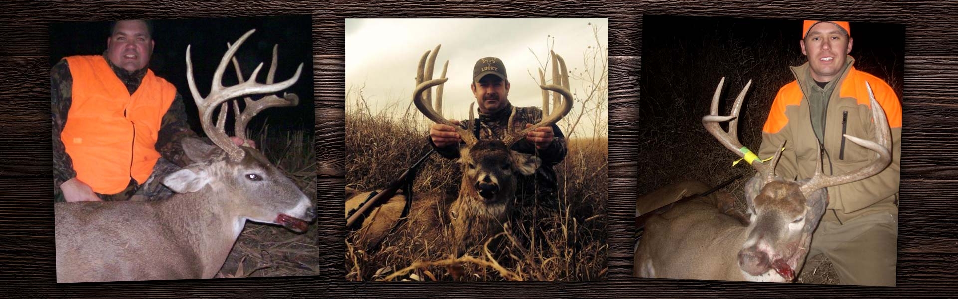 Kansas Whitetail Deer Hunting Guide & Outfitter