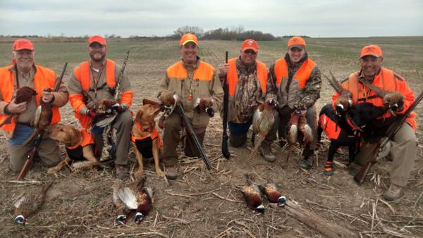 Kansas Pheasant Hunting