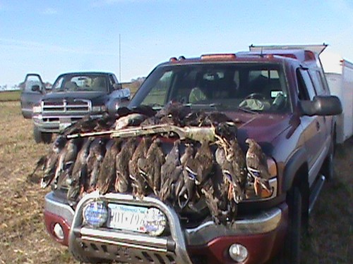 Kansas Hunting