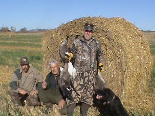 Goose Hunts