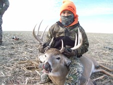 mullet deer
