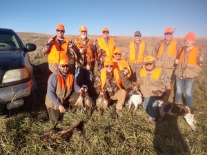 Pheasant Hunting