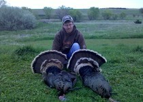 2012 Turkeys