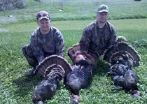 Great Day Turkeys