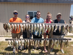 Had a great day with the Babcock Galen -killer party 80 whitebass on the mudline. Also a keeper walleye and crappie.