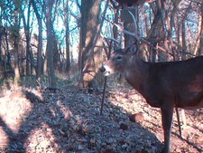 Jasons Eventual Kill