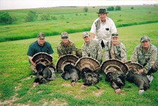 Turkey Hunt