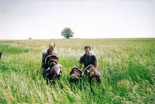 Turkey Hunt