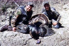 Turkey Hunt